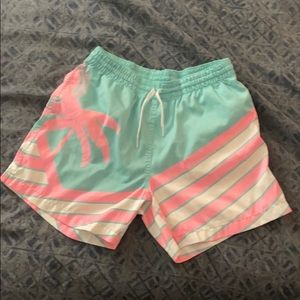 Men’s Large Chubbies Bathing Suit, 5”, Teal/Pink